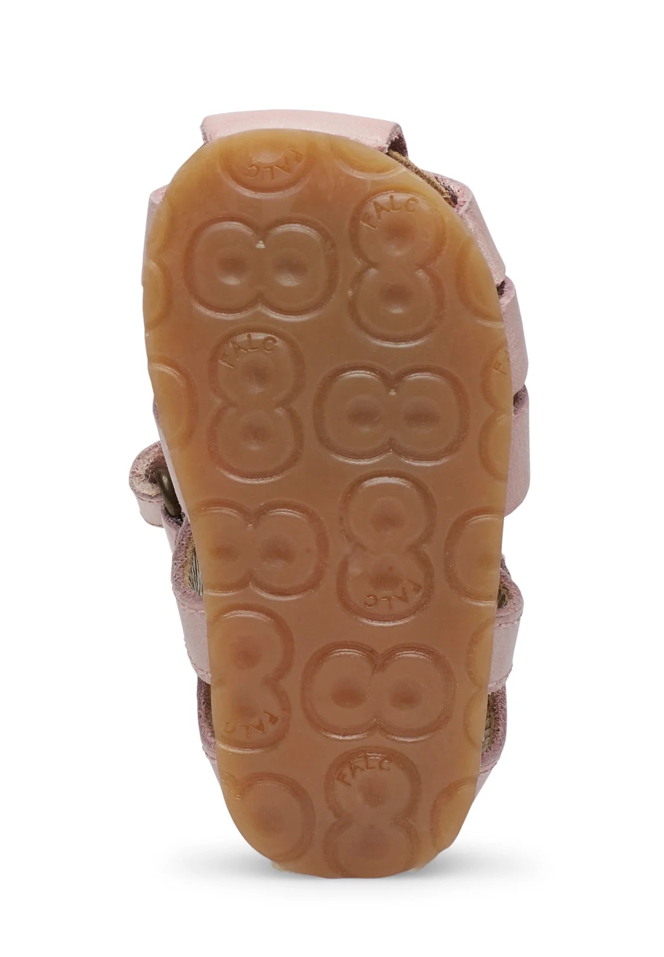 RAGNETTO PRIMI PASSI FALCOTTO