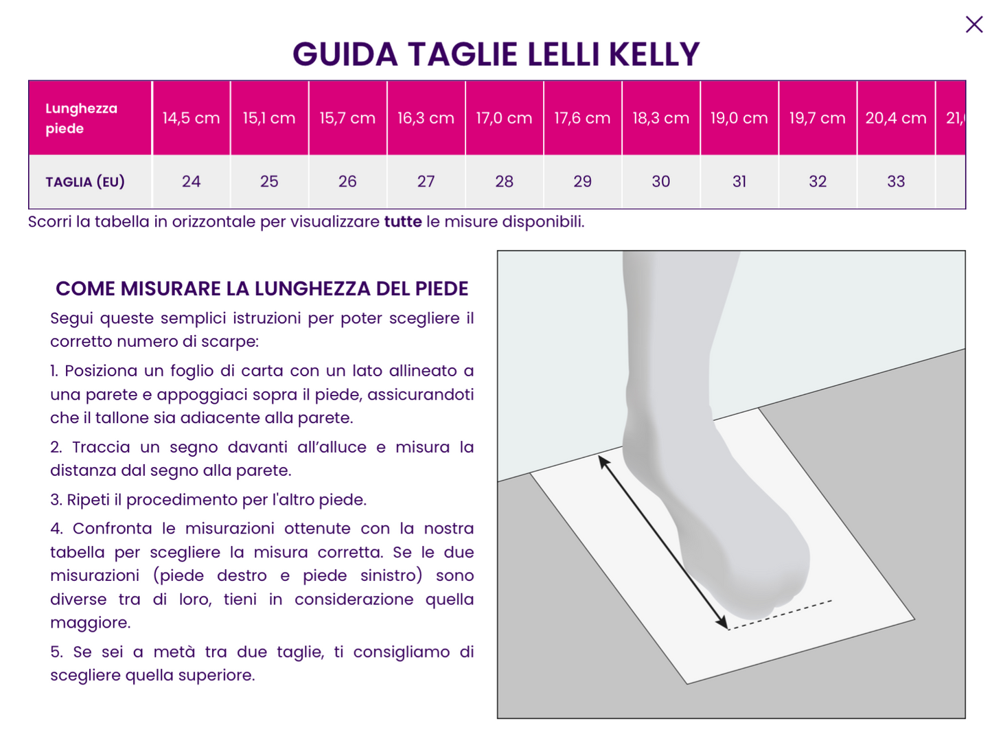 SNEAKER LELLI KELLY