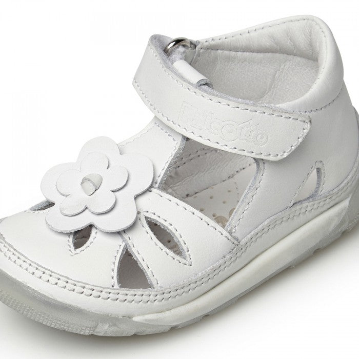 RAGNETTO PRIMI PASSI FALCOTTO