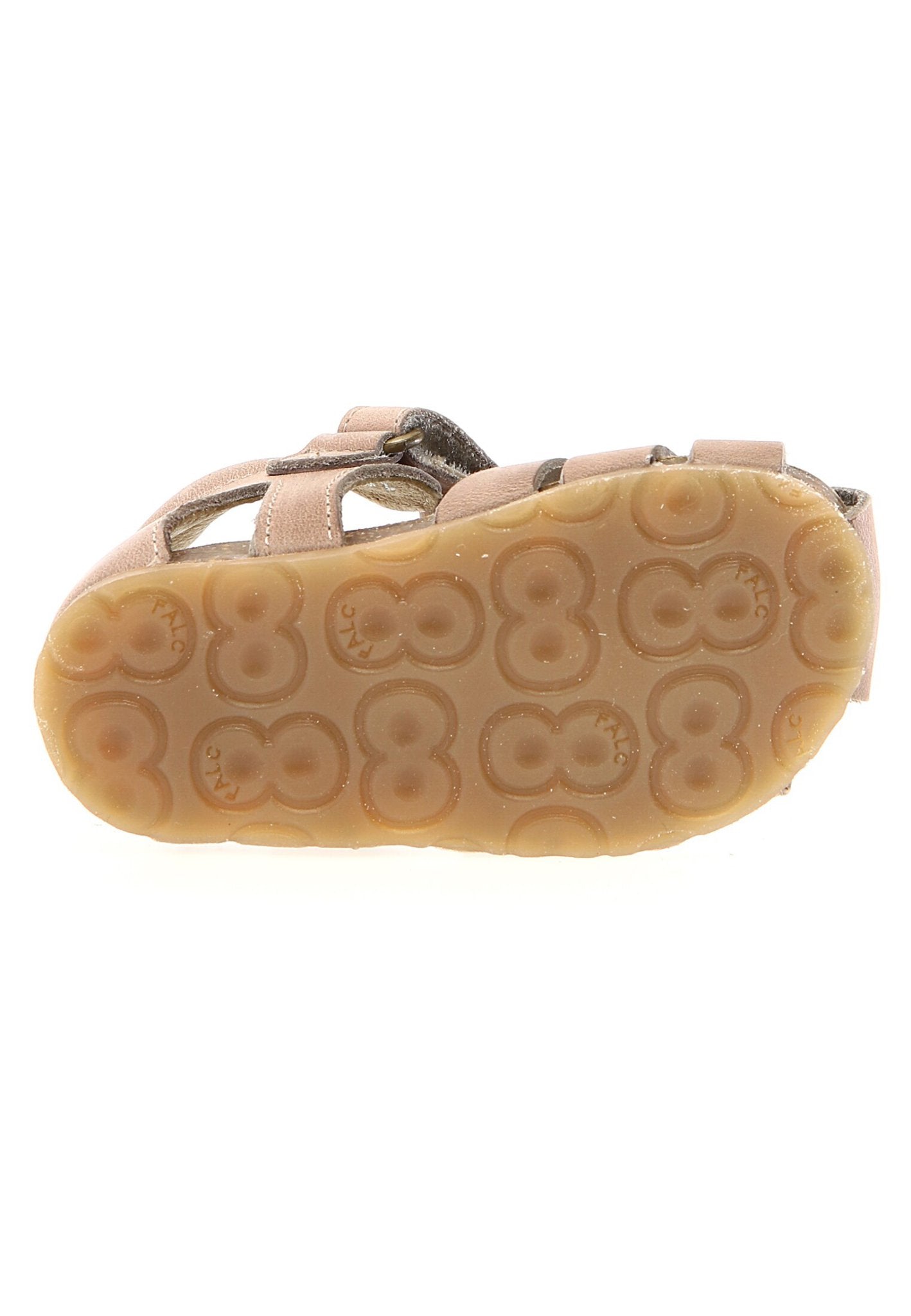 RAGNETTO PRIMO PASSO FALCOTTO