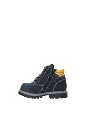 ANFIBIO NEROGIARDINI