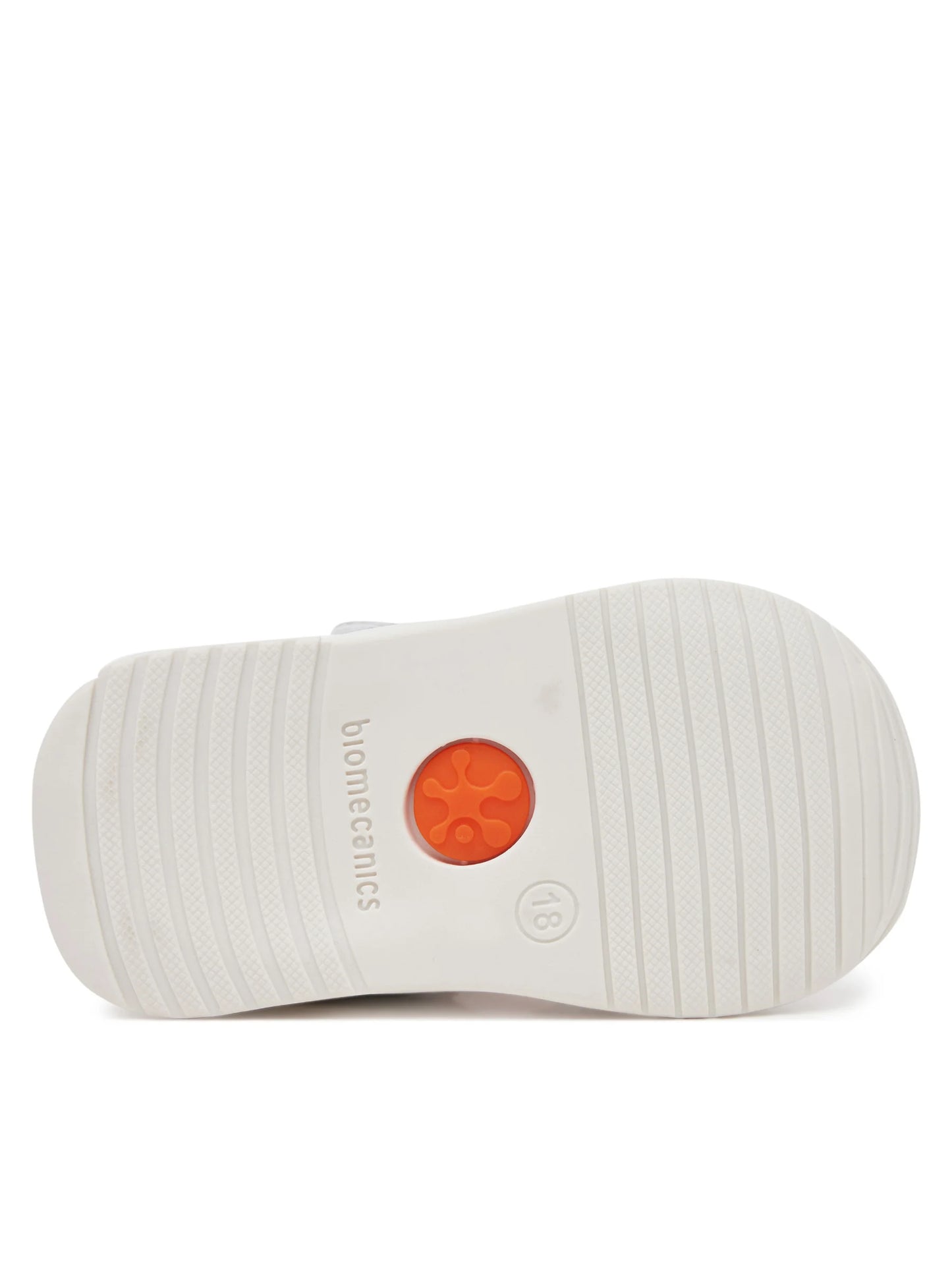 RAGNETTO BIOMECANICS