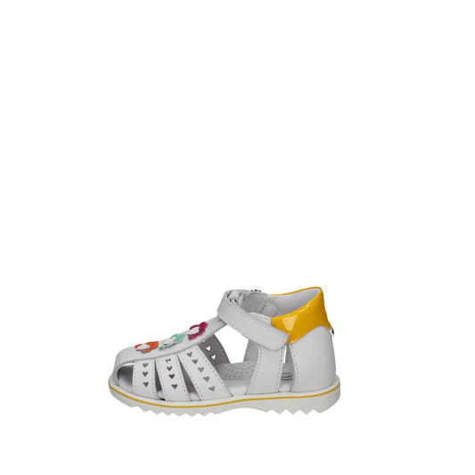 RAGNETTO PRIMI PASSI BALDUCCI