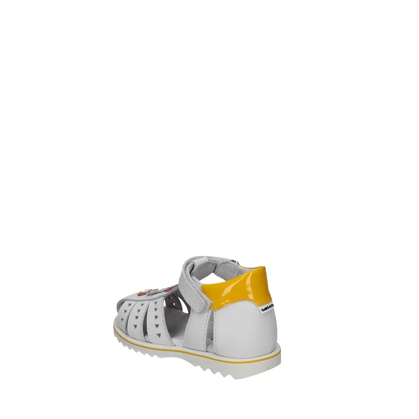 RAGNETTO PRIMI PASSI BALDUCCI