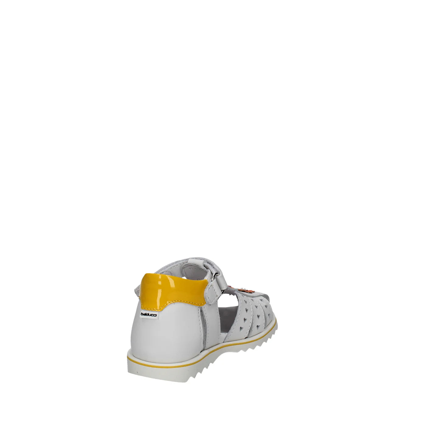 RAGNETTO PRIMI PASSI BALDUCCI