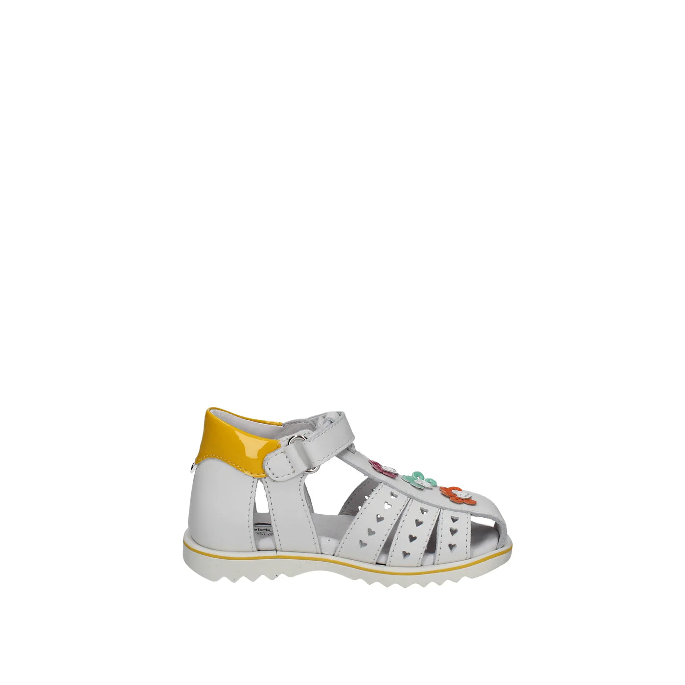 RAGNETTO PRIMI PASSI BALDUCCI