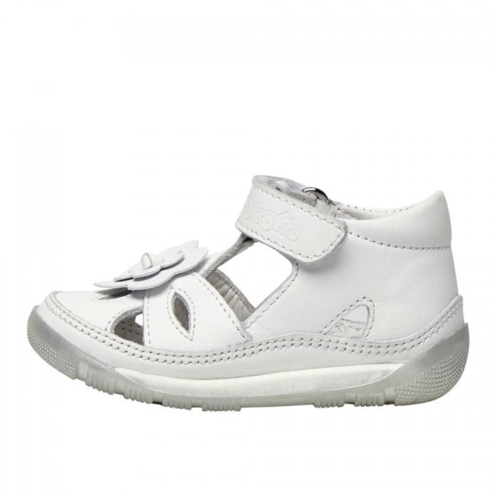 RAGNETTO PRIMI PASSI FALCOTTO