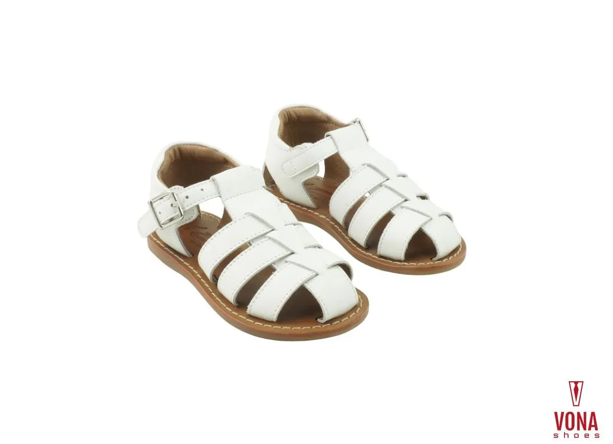 RAGNETTO PRIMI PASSI BALDUCCI