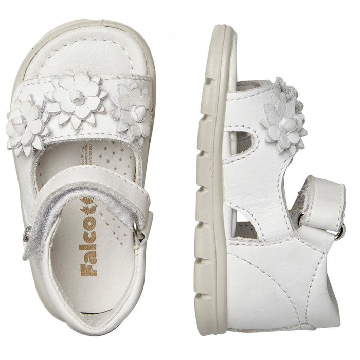 SANDALO PRIMI PASSI FALCOTTO