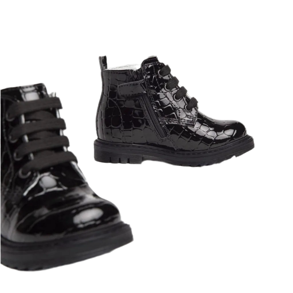 ANFIBIO NEROGIARDINI