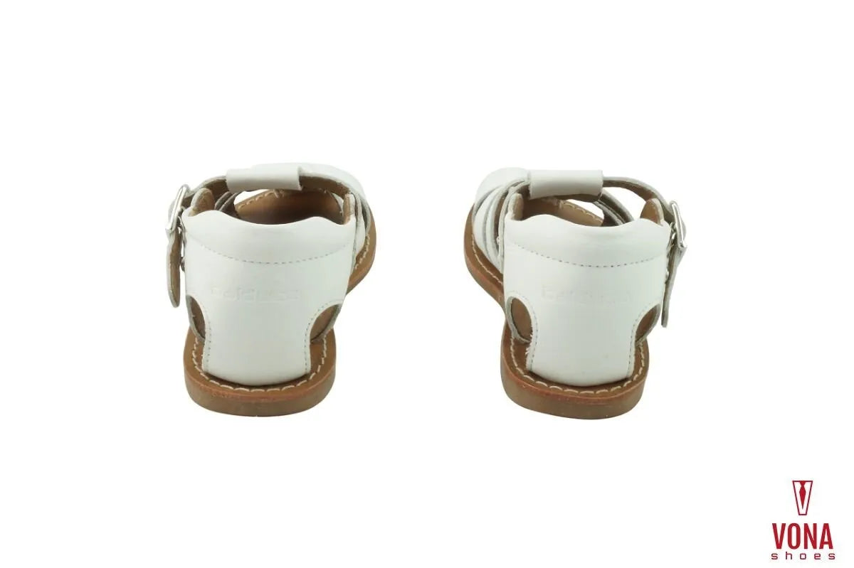 RAGNETTO PRIMI PASSI BALDUCCI