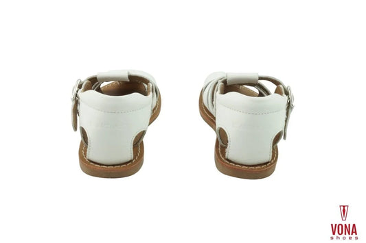 RAGNETTO PRIMI PASSI BALDUCCI