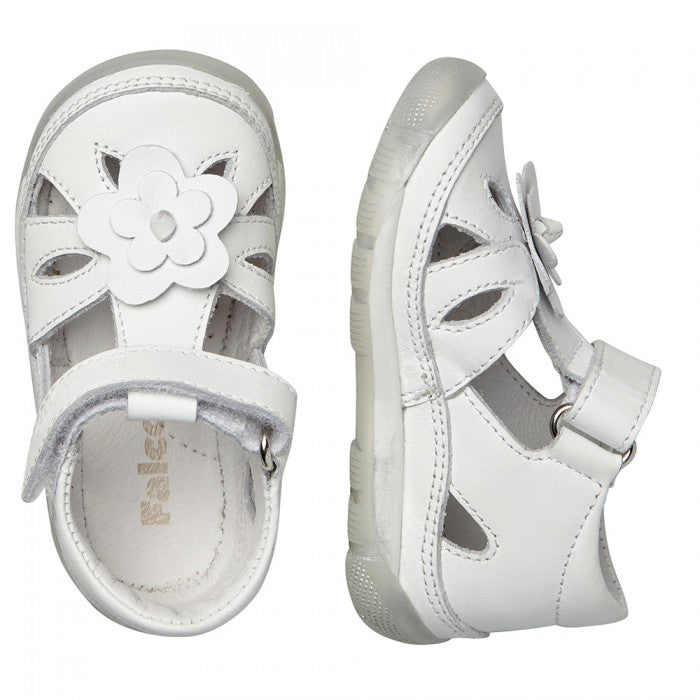 RAGNETTO PRIMI PASSI FALCOTTO