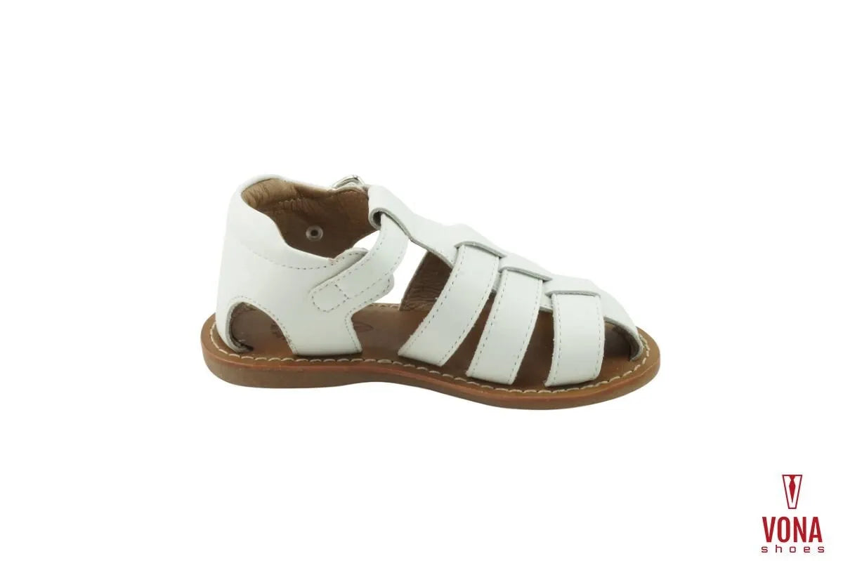 RAGNETTO PRIMI PASSI BALDUCCI