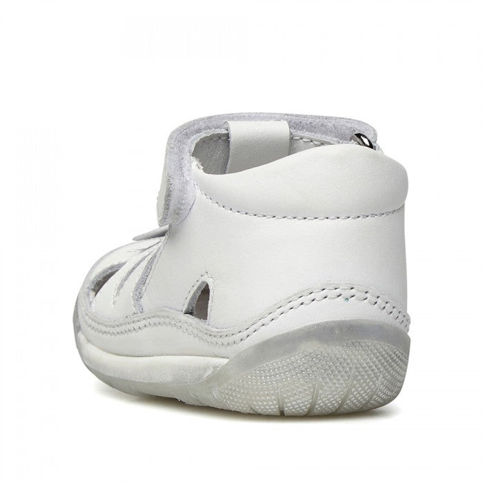 RAGNETTO PRIMI PASSI FALCOTTO