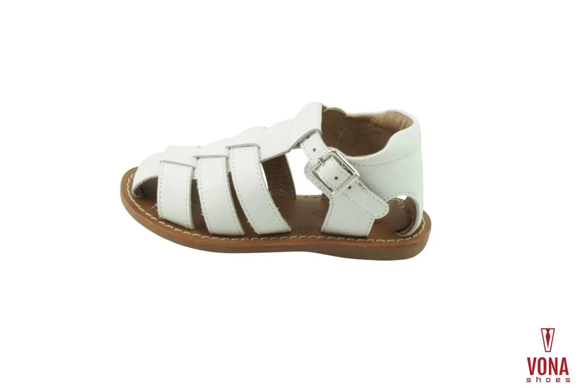 RAGNETTO PRIMI PASSI BALDUCCI