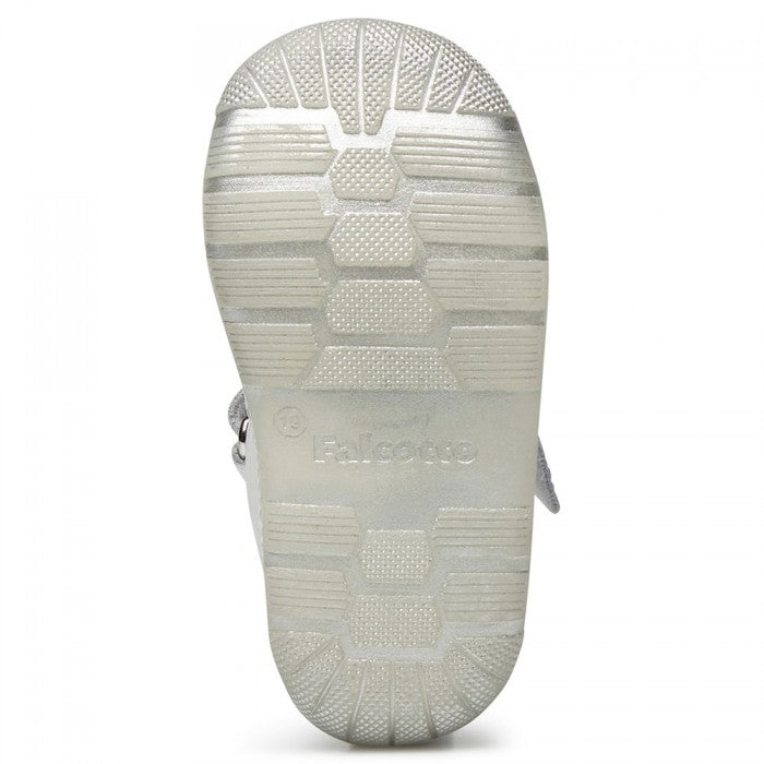 RAGNETTO PRIMI PASSI FALCOTTO