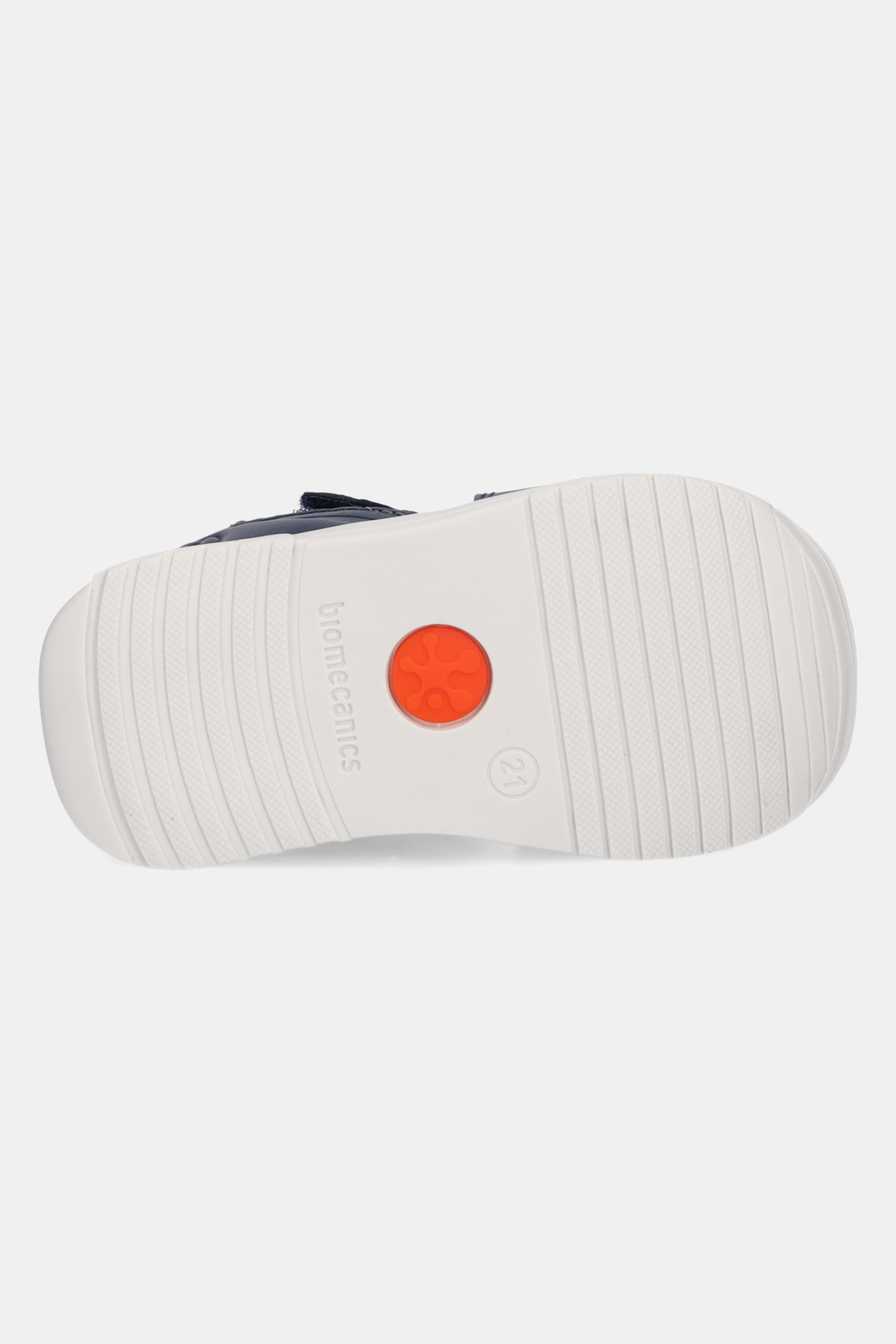 RAGNETTO BIOMECANICS