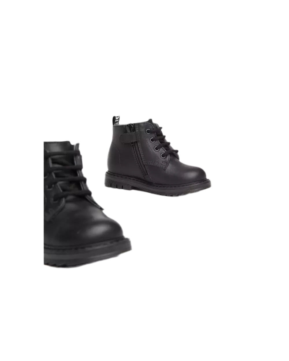 ANFIBIO NEROGIARDINI