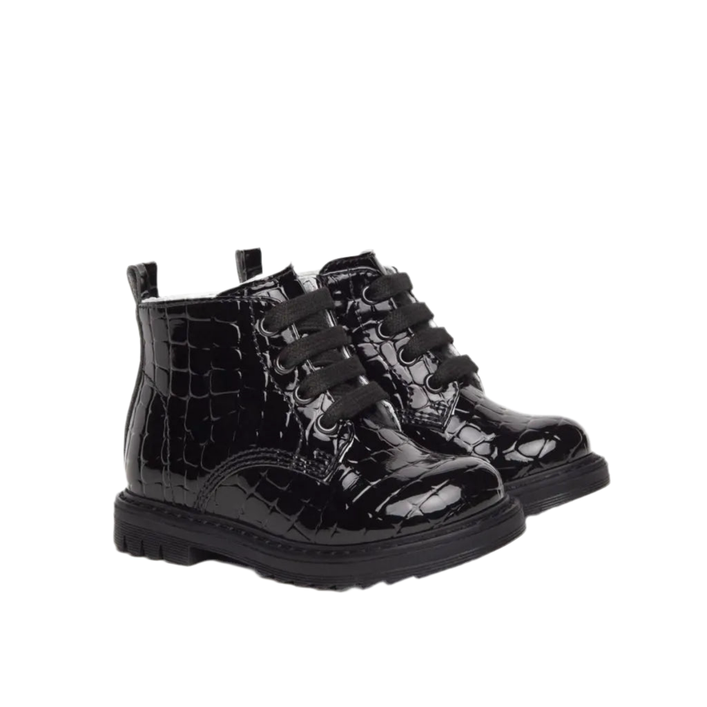 ANFIBIO NEROGIARDINI