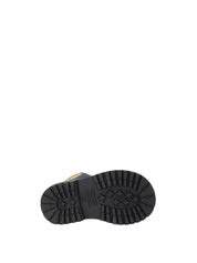 ANFIBIO NEROGIARDINI