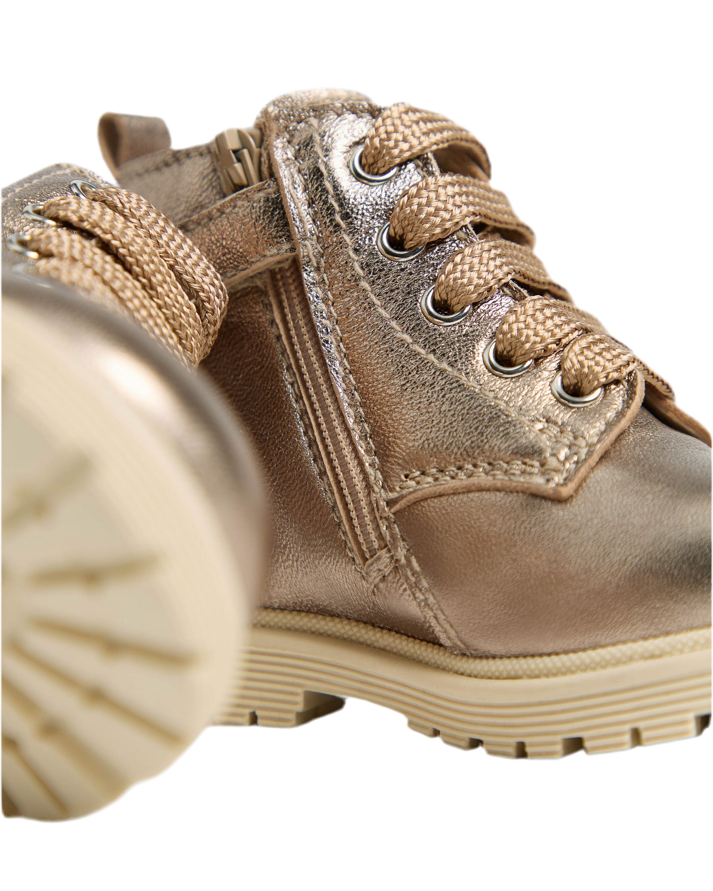 ANFIBIO NEROGIARDINI