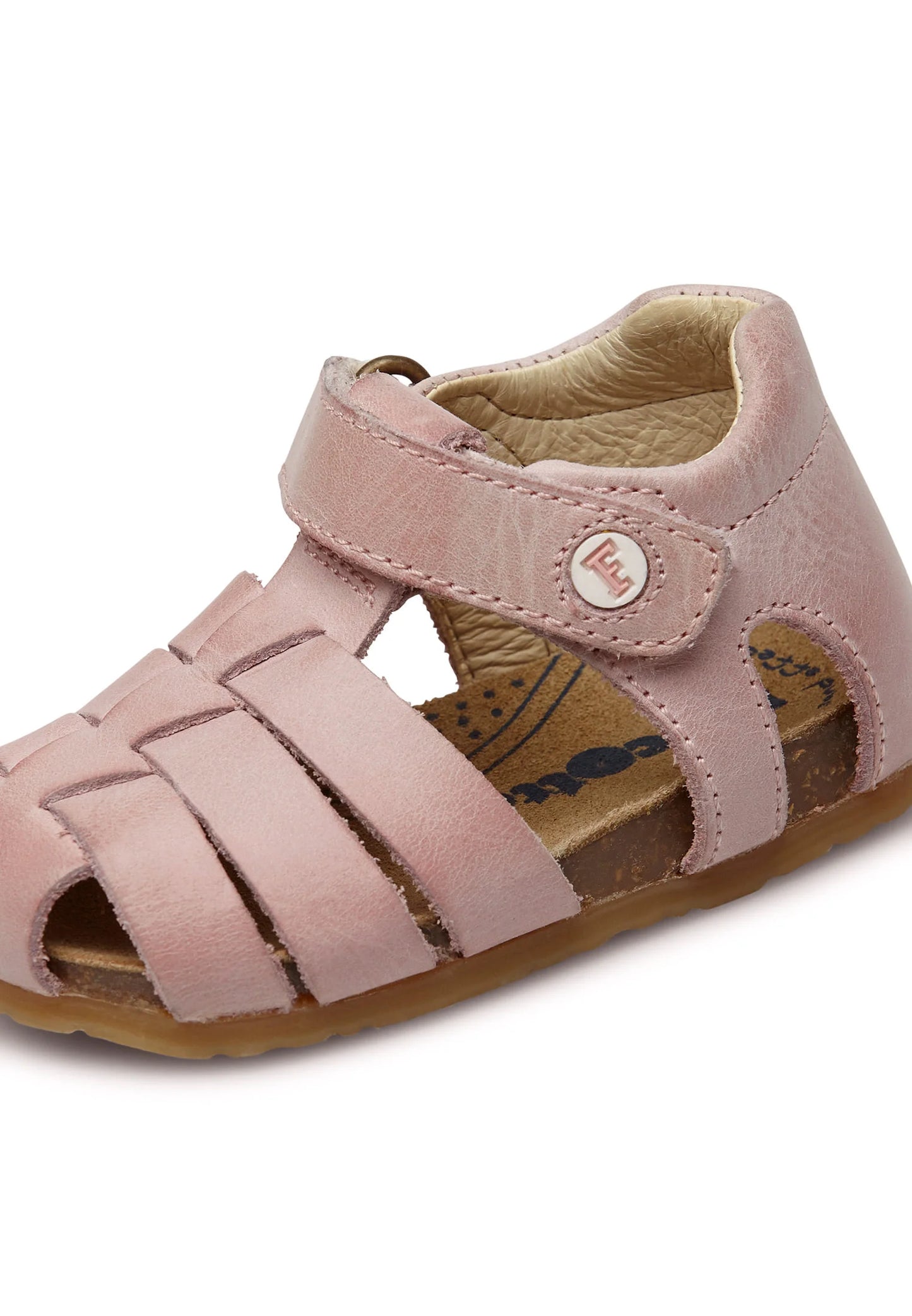 RAGNETTO PRIMI PASSI FALCOTTO