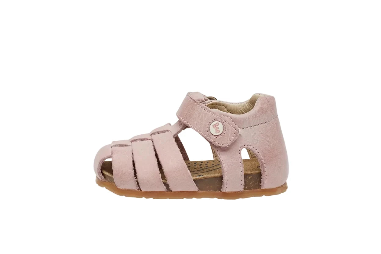 RAGNETTO PRIMI PASSI FALCOTTO