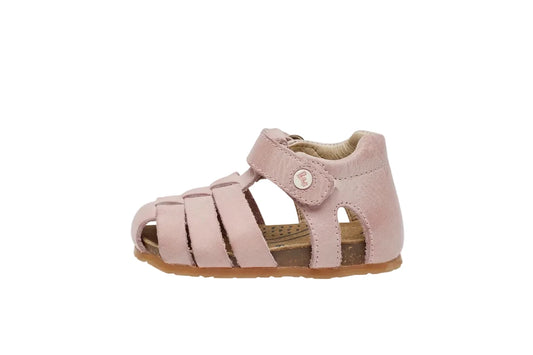 RAGNETTO PRIMI PASSI FALCOTTO