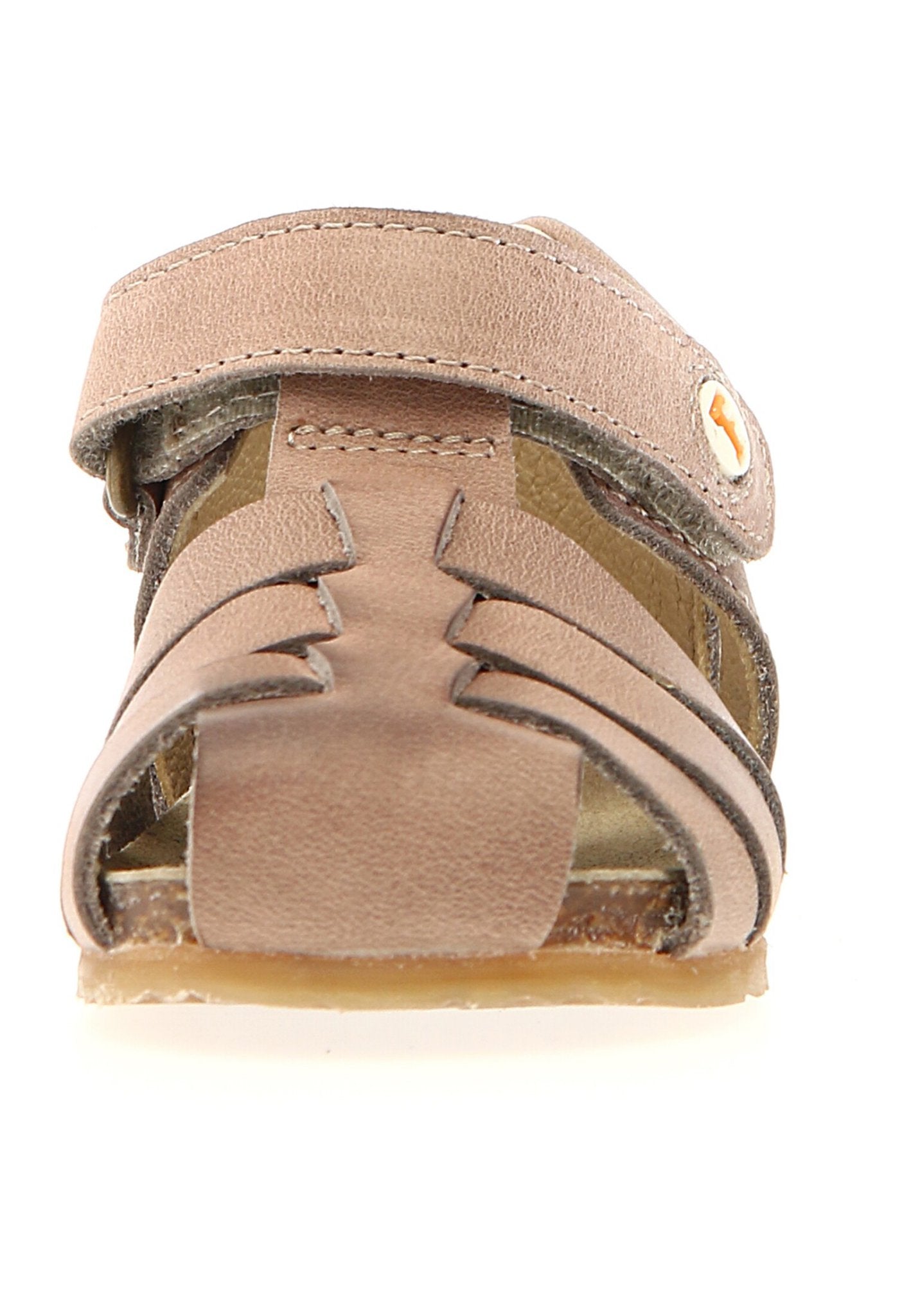 RAGNETTO PRIMO PASSO FALCOTTO