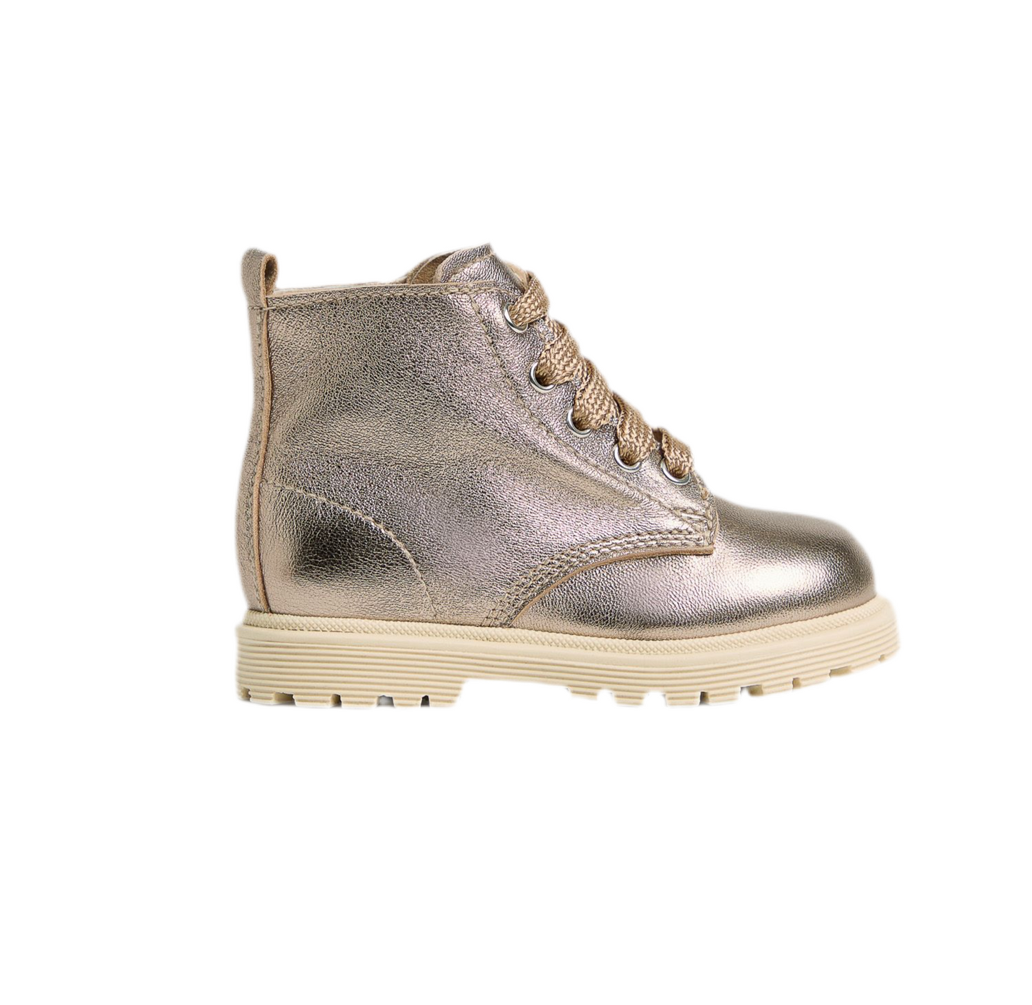 ANFIBIO NEROGIARDINI