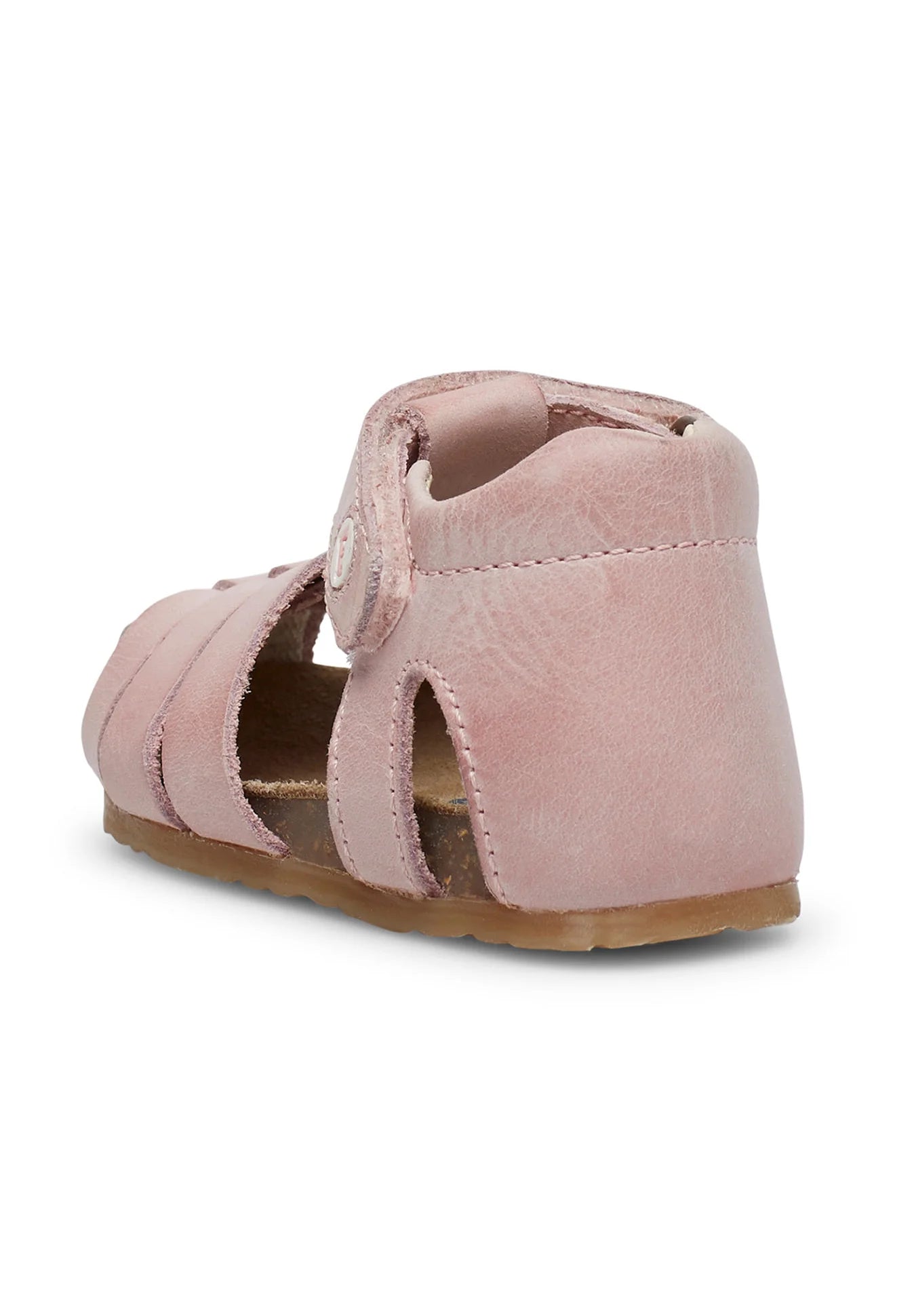 RAGNETTO PRIMI PASSI FALCOTTO