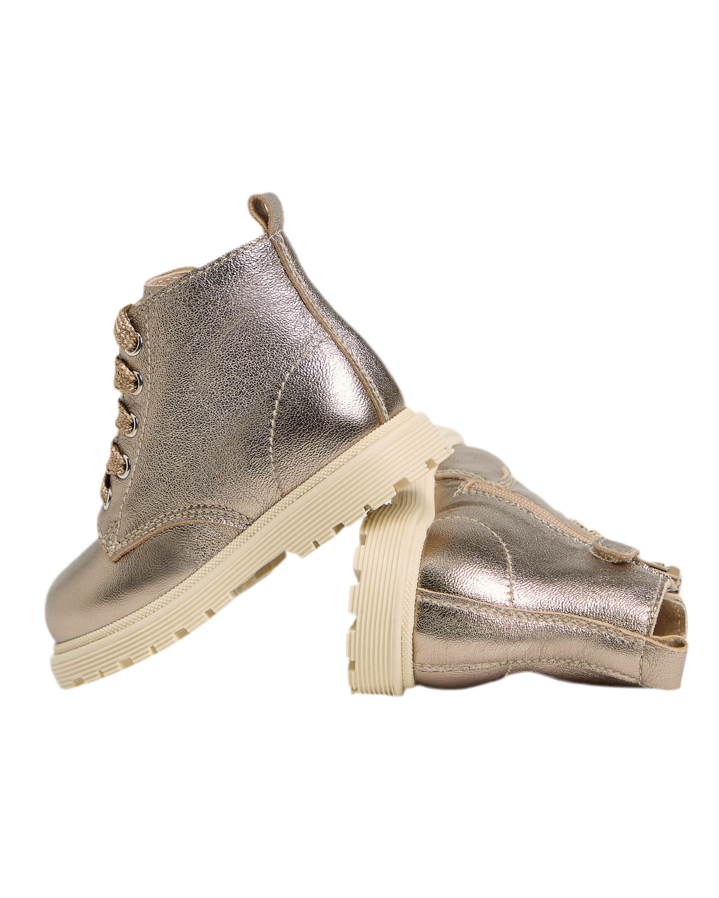 ANFIBIO NEROGIARDINI