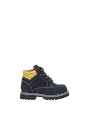 ANFIBIO NEROGIARDINI