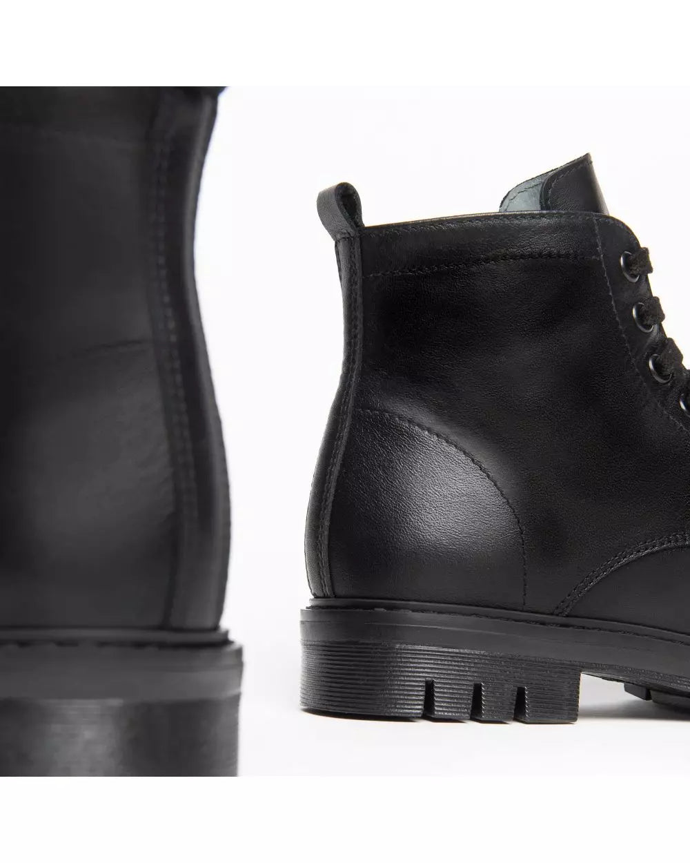 ANFIBIO NEROGIARDINI